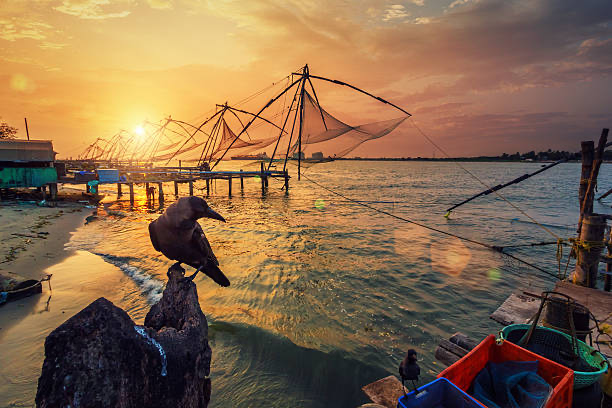 Kerala Landscape